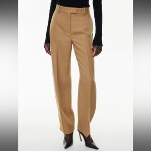 Brand New Aritzia Forge Pant